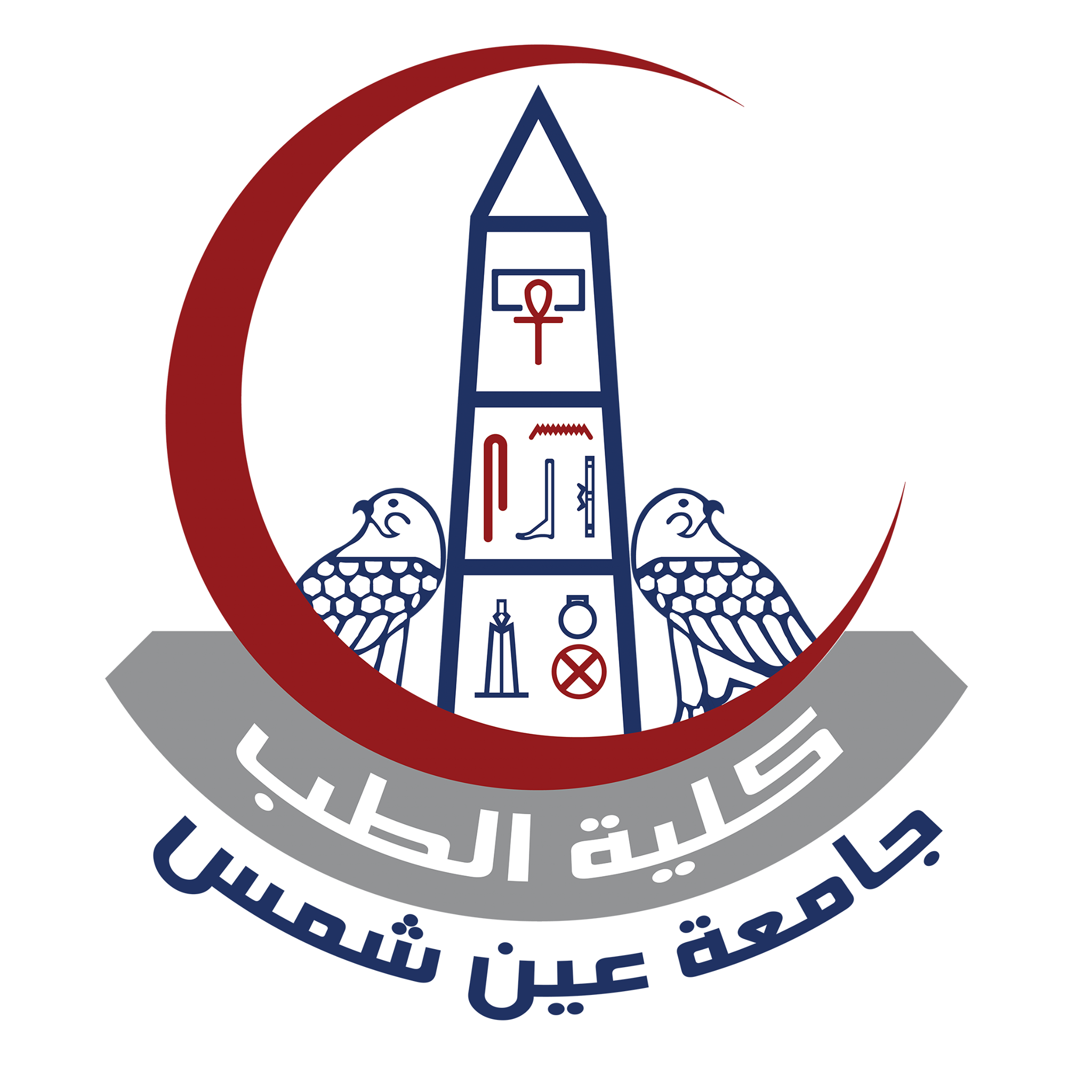 Ain Shams University — Faculty of Medicine