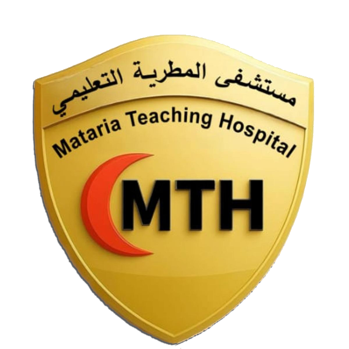 El-Mataria Teaching Hospital